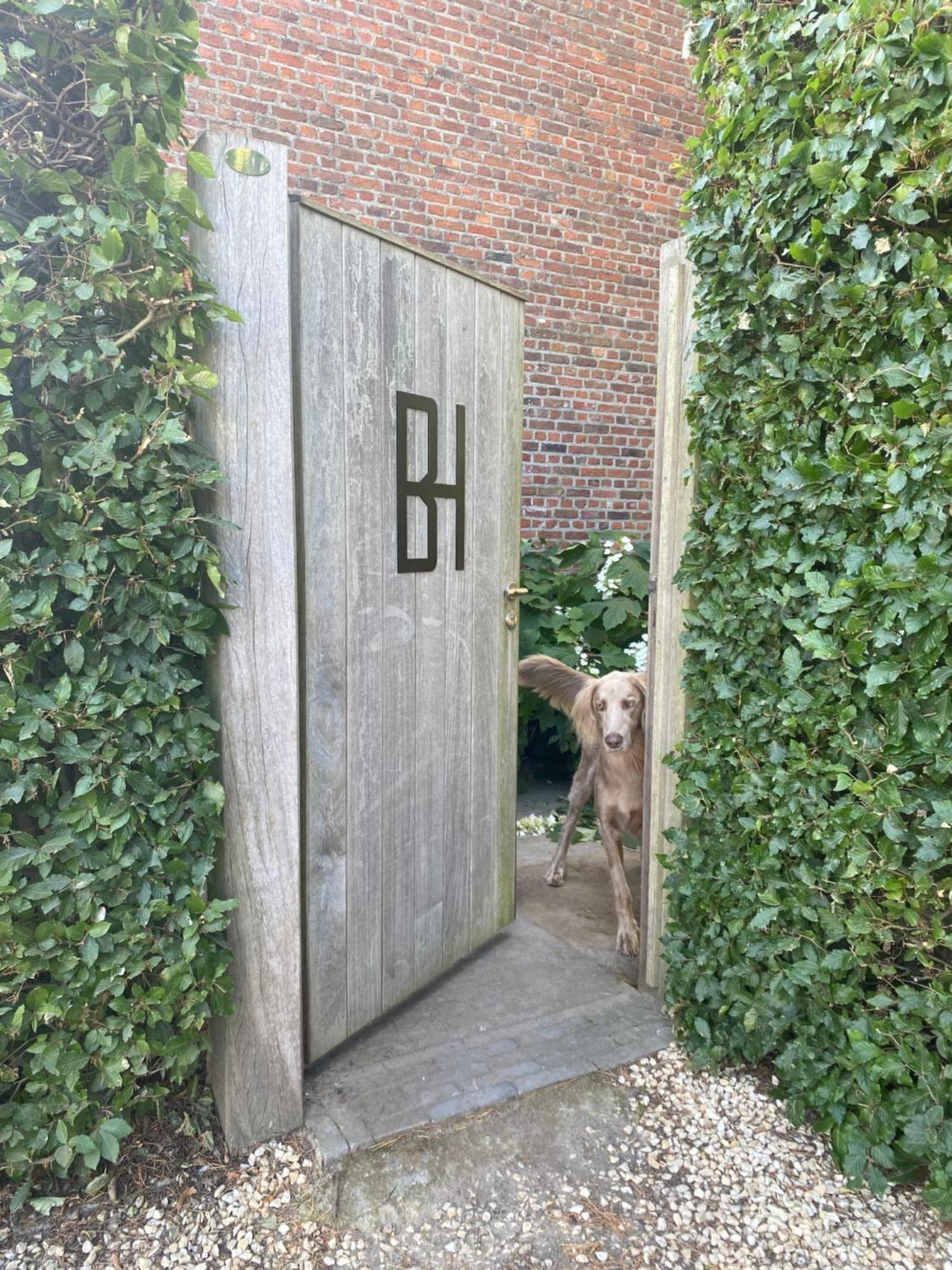 Bulsomhuys Guesthouse Kampenhout Exterior foto